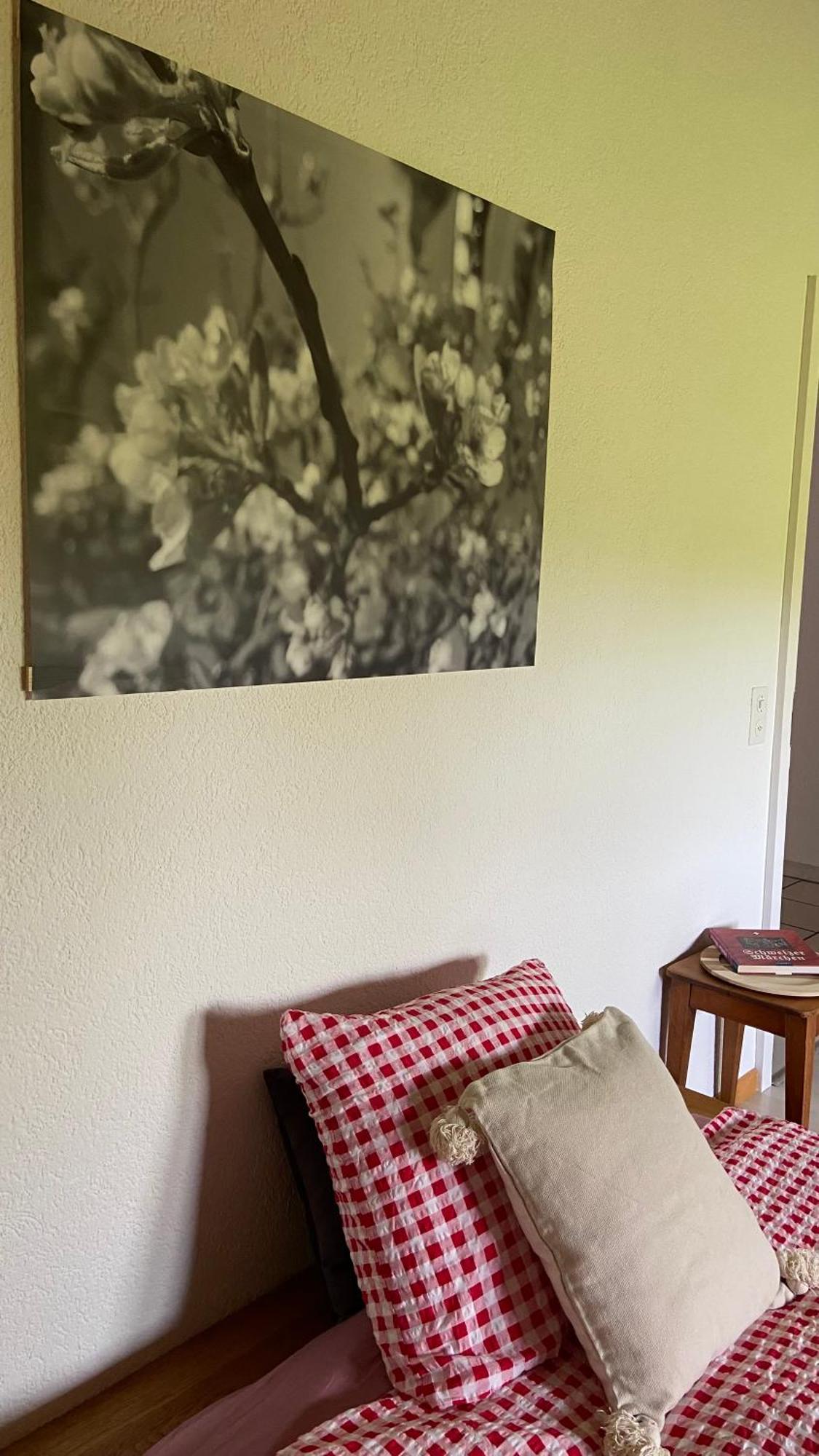 Naturnahe Familienwohnung Ruschegg 외부 사진