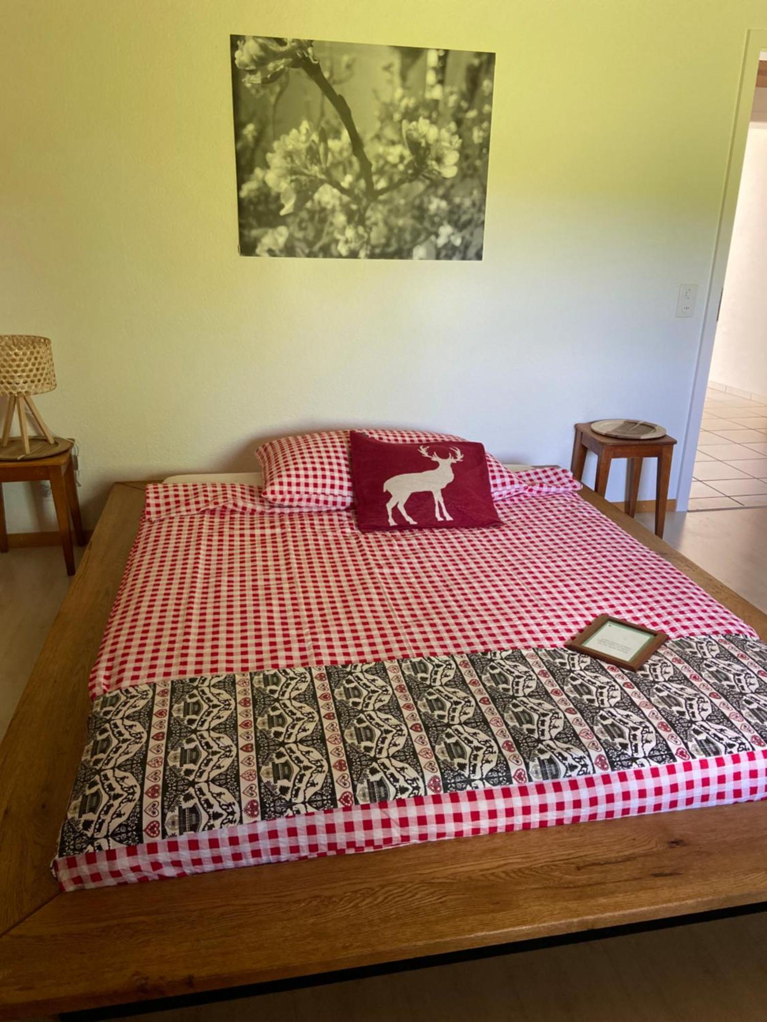 Naturnahe Familienwohnung Ruschegg 외부 사진